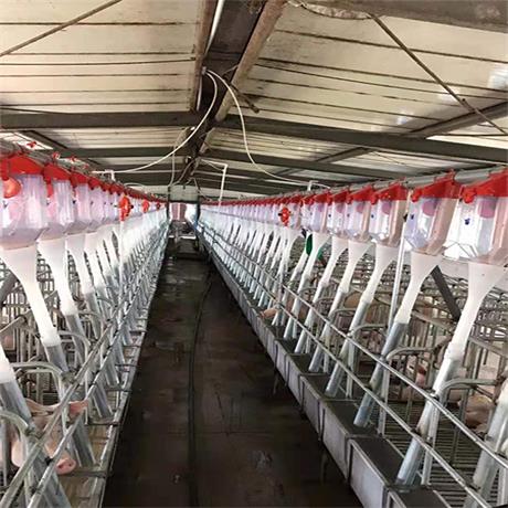 养猪场的养猪设备是什么