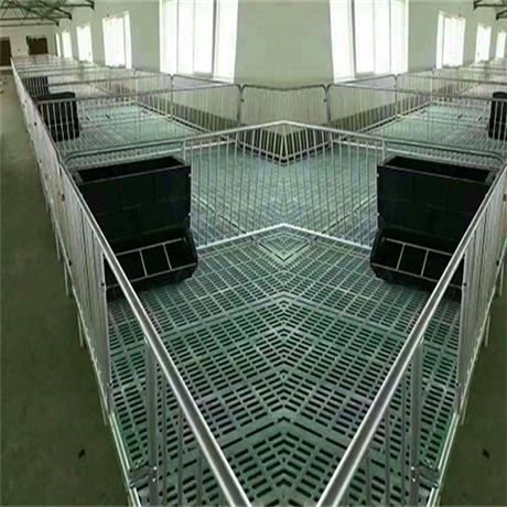 为什么要给新生猪用保育床